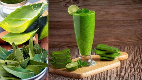 नीम और एलोवेरा जूस के फायदे I