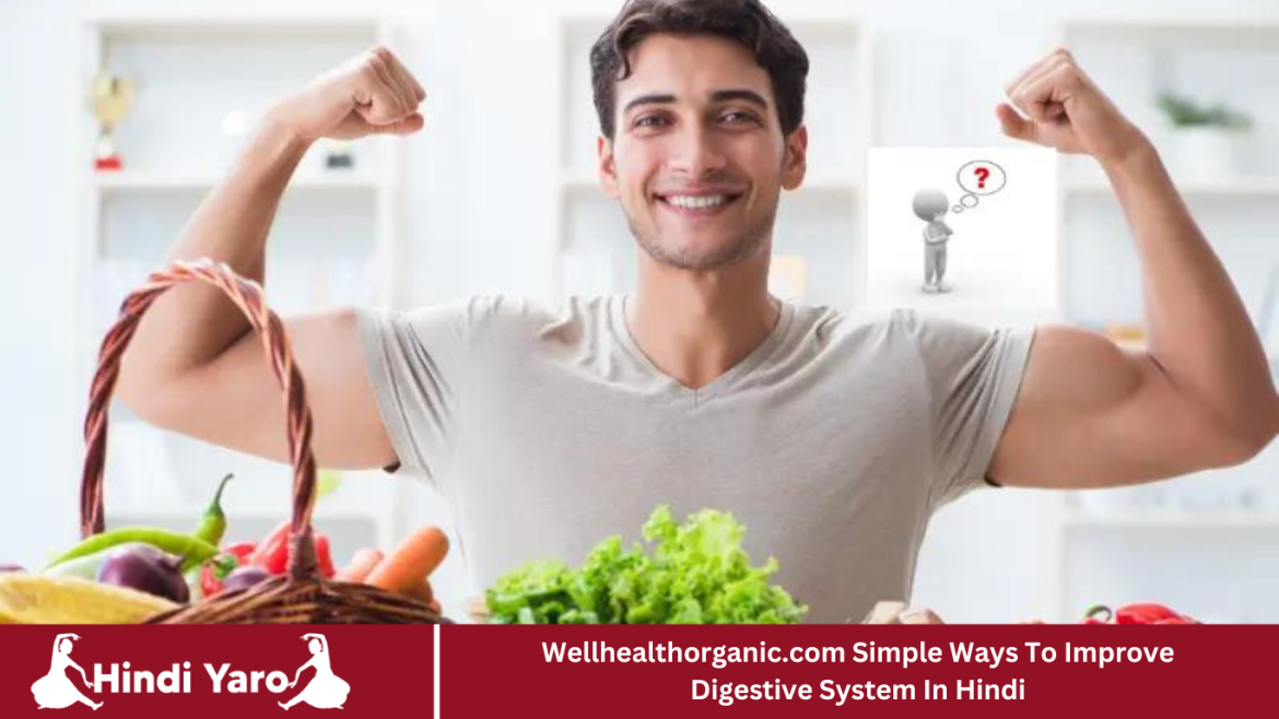 Improve Digestive System